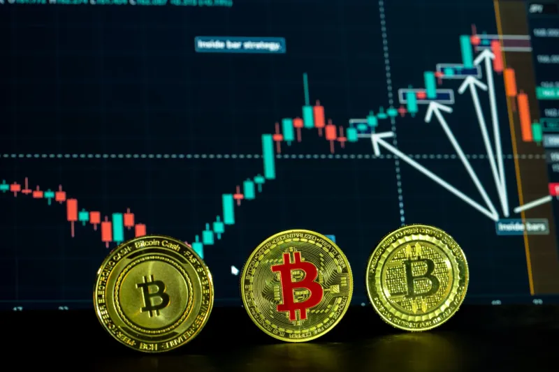 Not All Dollar Pegs Hold Equally: A Stress-Test Framework for Evaluating Stablecoin Counterparty Risk